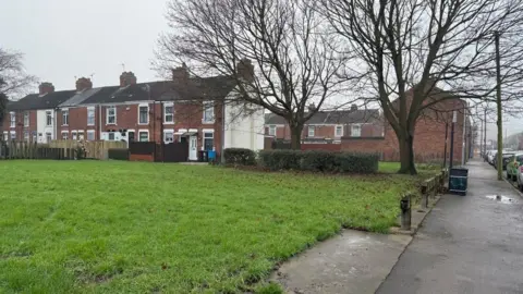 A large patch of green grass at the side of a road looking towards several rows of early 20th Century terraced homes. Two bare trees, a hedge and a black public bin can be seen.