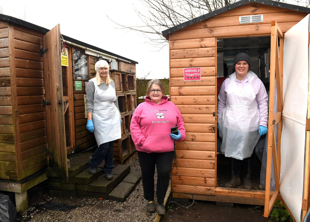 centre, Lucy Felgate-Baumberg with left, Volunteer Mary King and right, Eleanor Towns, Assistant Medic Director at Lucky Hedgehog Rescue CIC