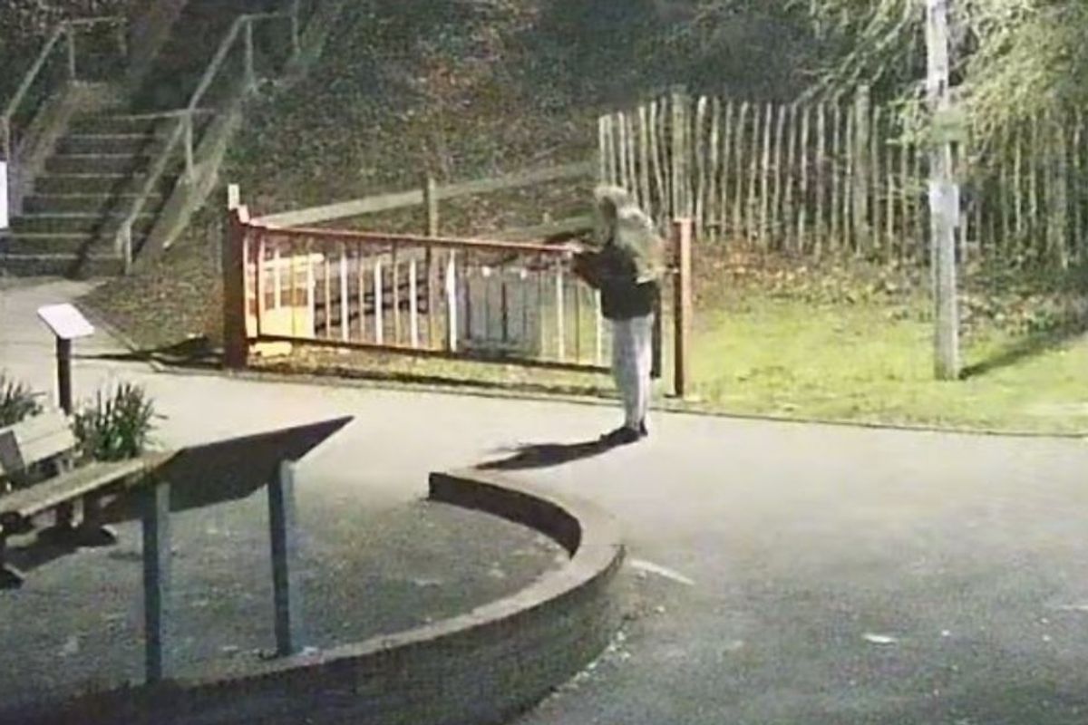 CCTV shows Lily in the Hessle Foreshore area at around 6am