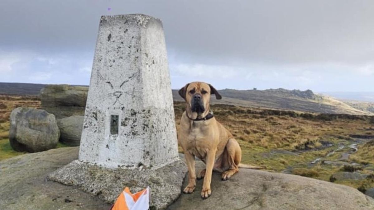 Zeus is on a mission with his owner, Grimsby veteran Jamie Pinnick