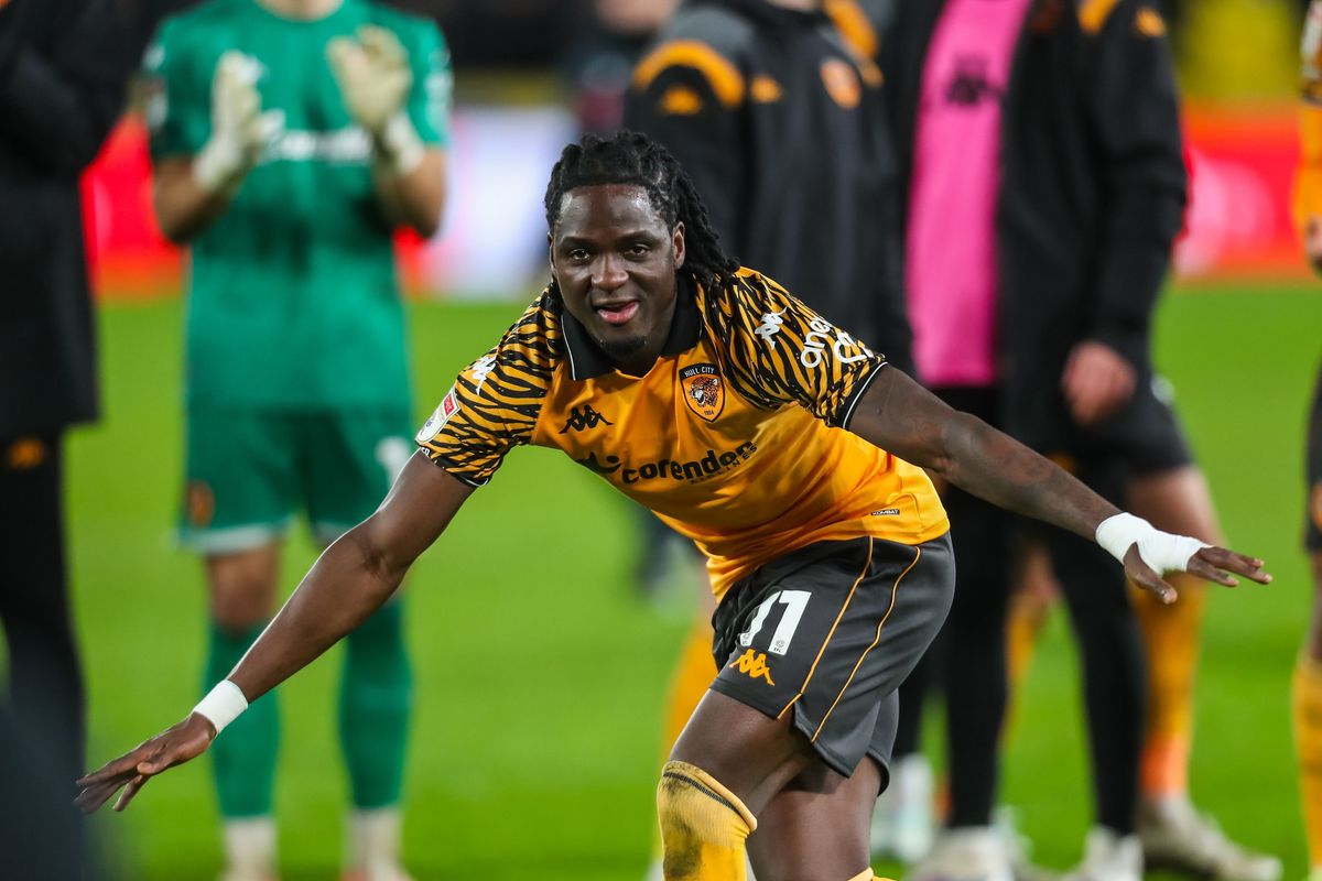 Hull City's Babajide David Akintola could yet have a future at the MKM Stadium