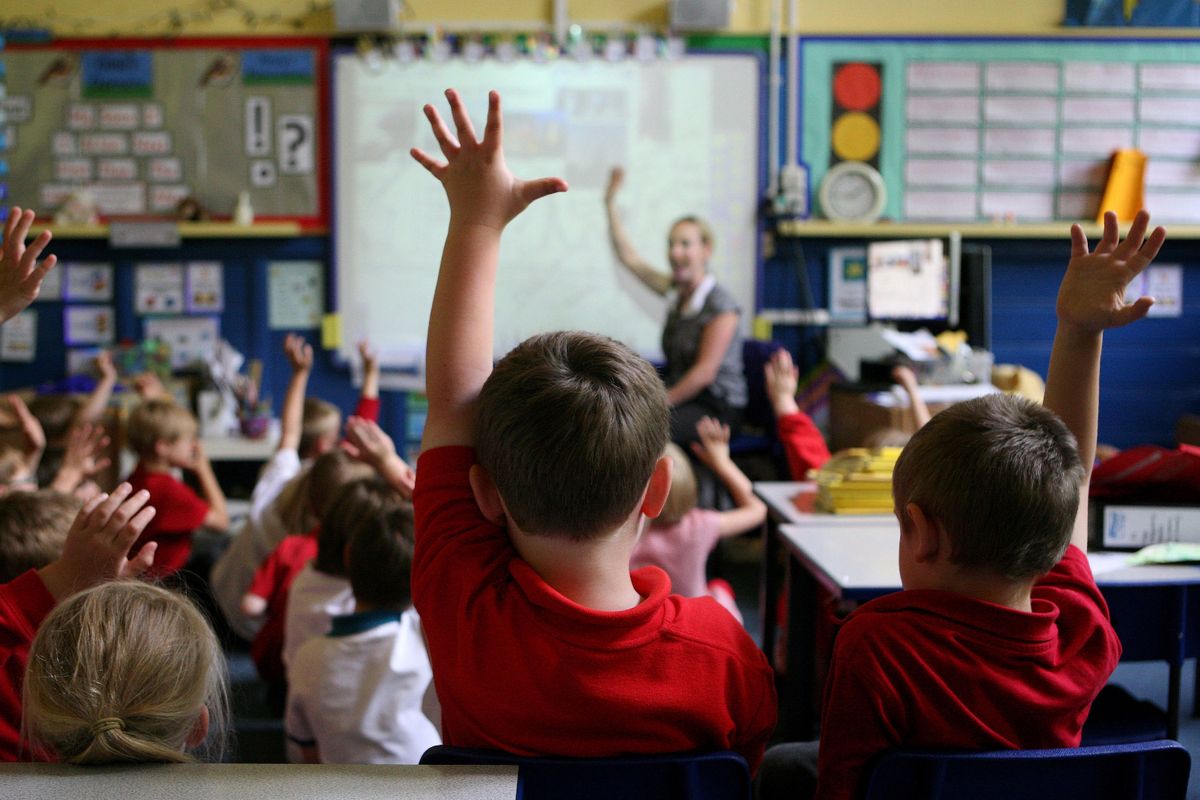 Pupils in a primary school class