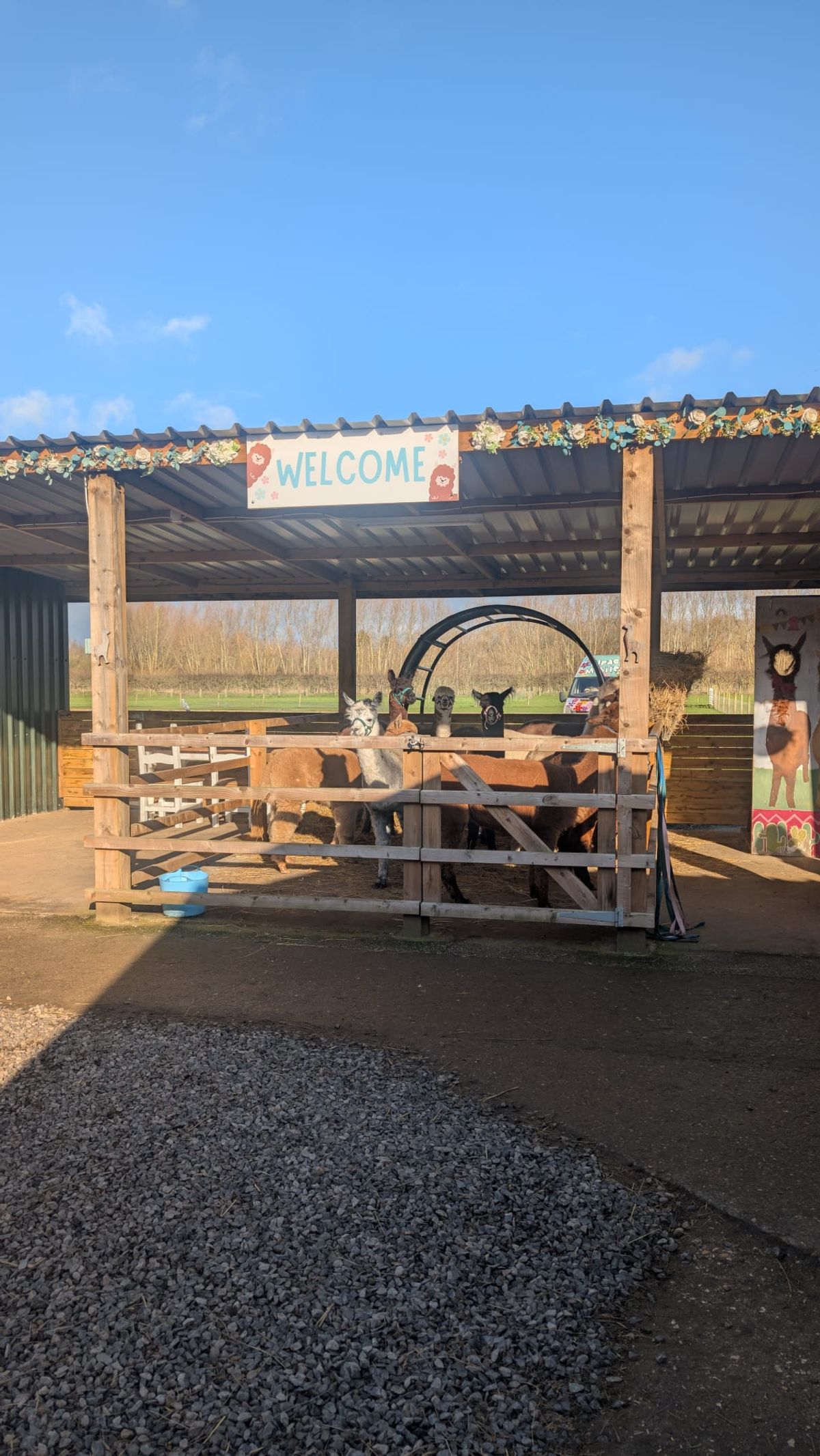 Ings Park Alpacas is welcoming and the perfect place to spend a day out