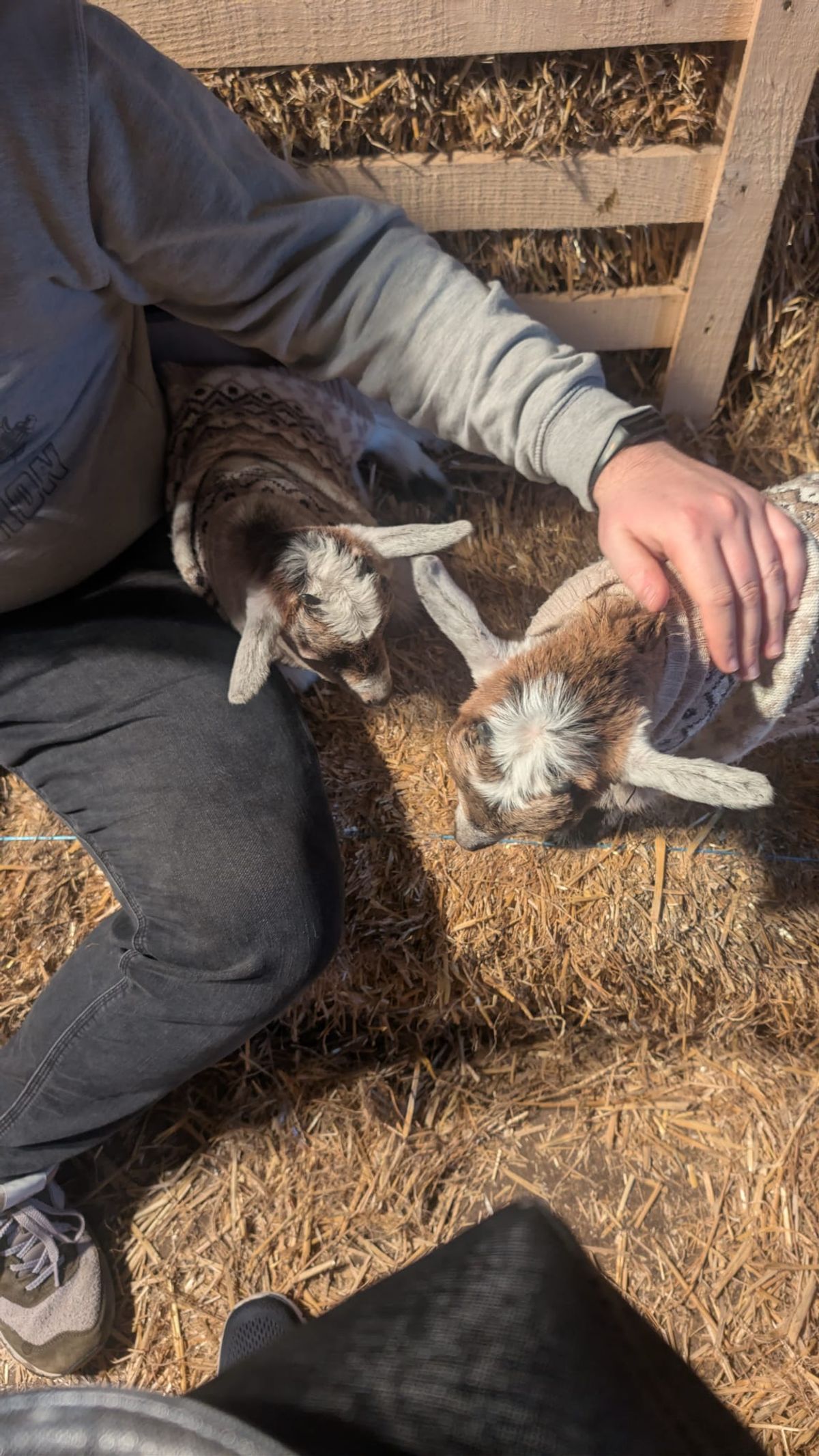 After playtime was over, these two decided it was time for a cuddle