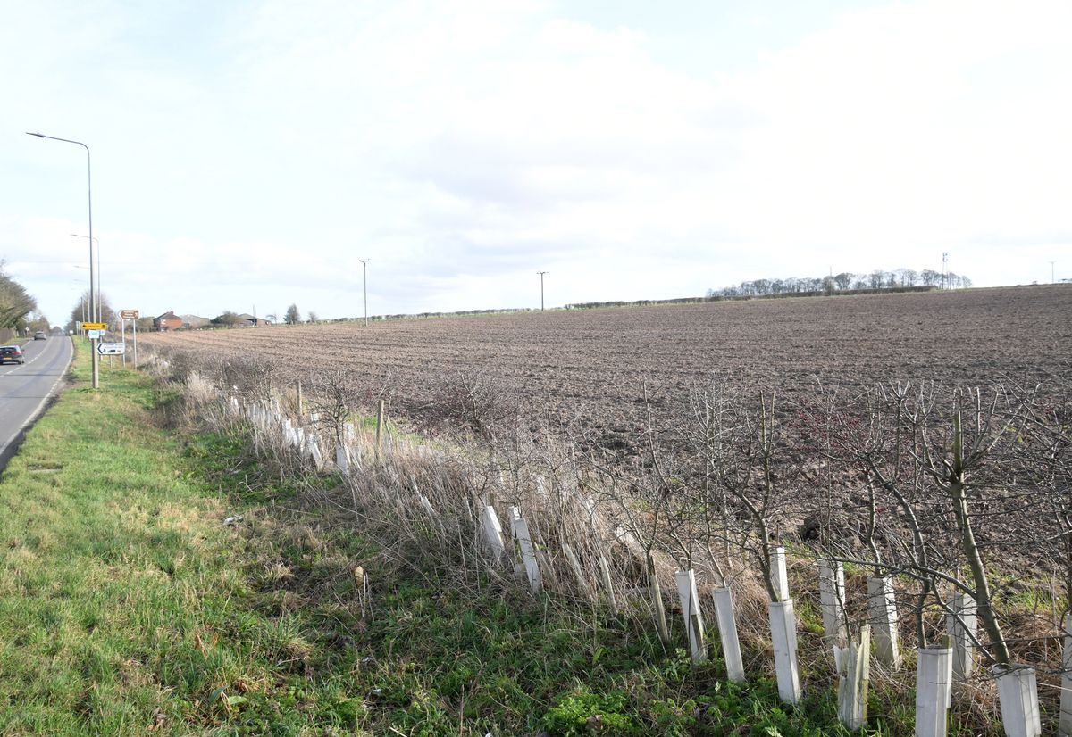 The location for the proposed housing development off Barrow Road, Barton-upon-Humber, pictured in 2023