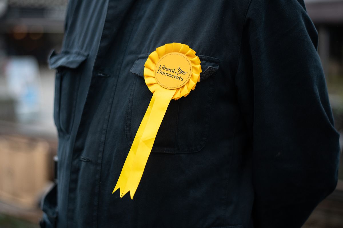 Liberal Democrat party rosette 