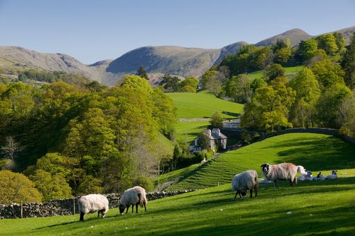 Yorkshire 
