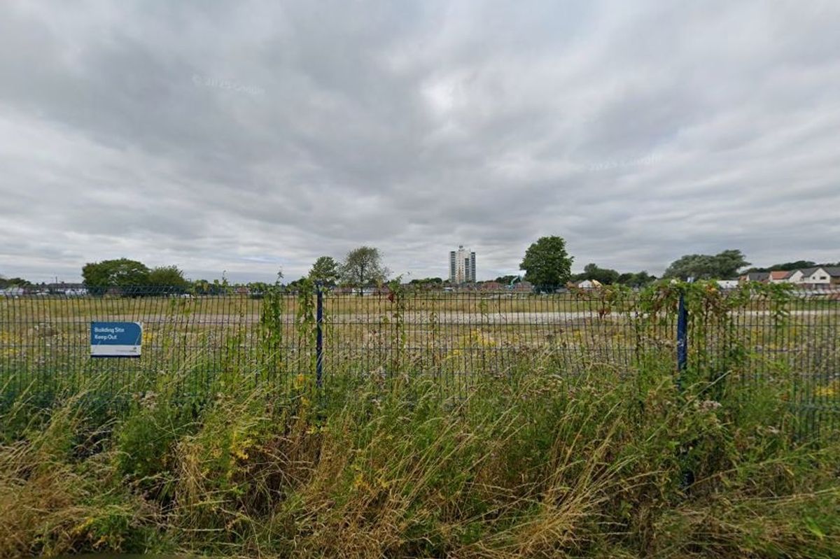 The site of the planned houses is currently empty grassland