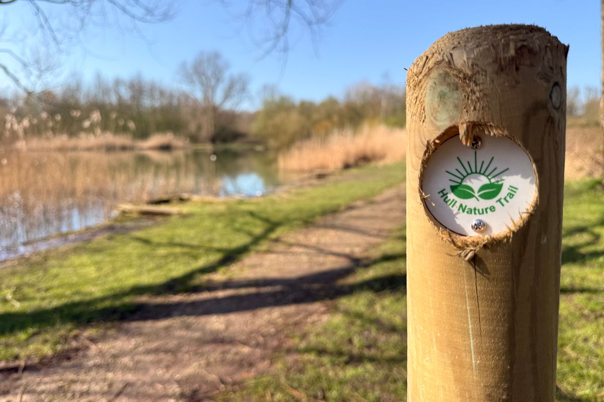 Oak Road Playing Fields are home to a rich variety of wildlife
