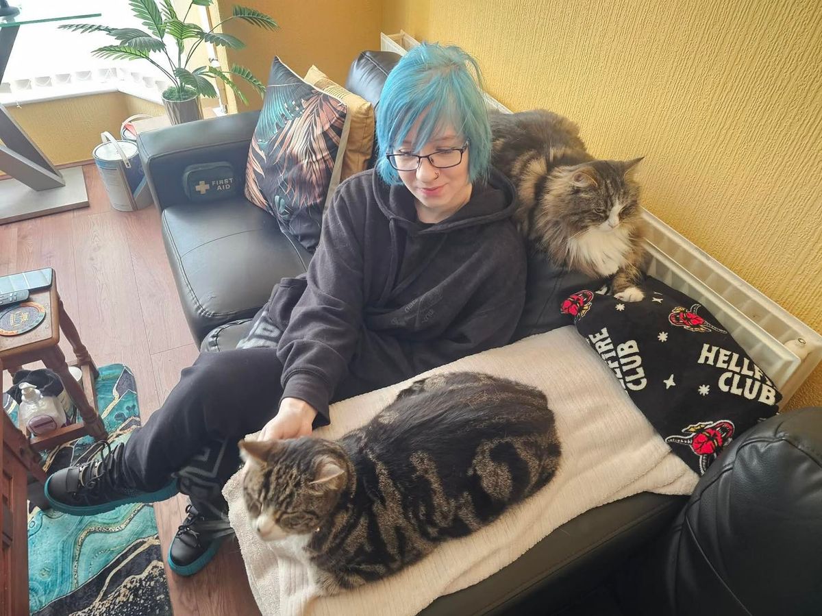 The first two resident cats are Thor, with the short hair, and Loki.