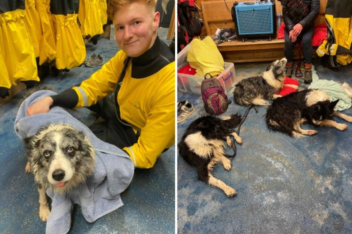 Back on dry land - Hornsea Inshore Rescue makes sure canine and human casualties are warmed up and dried off