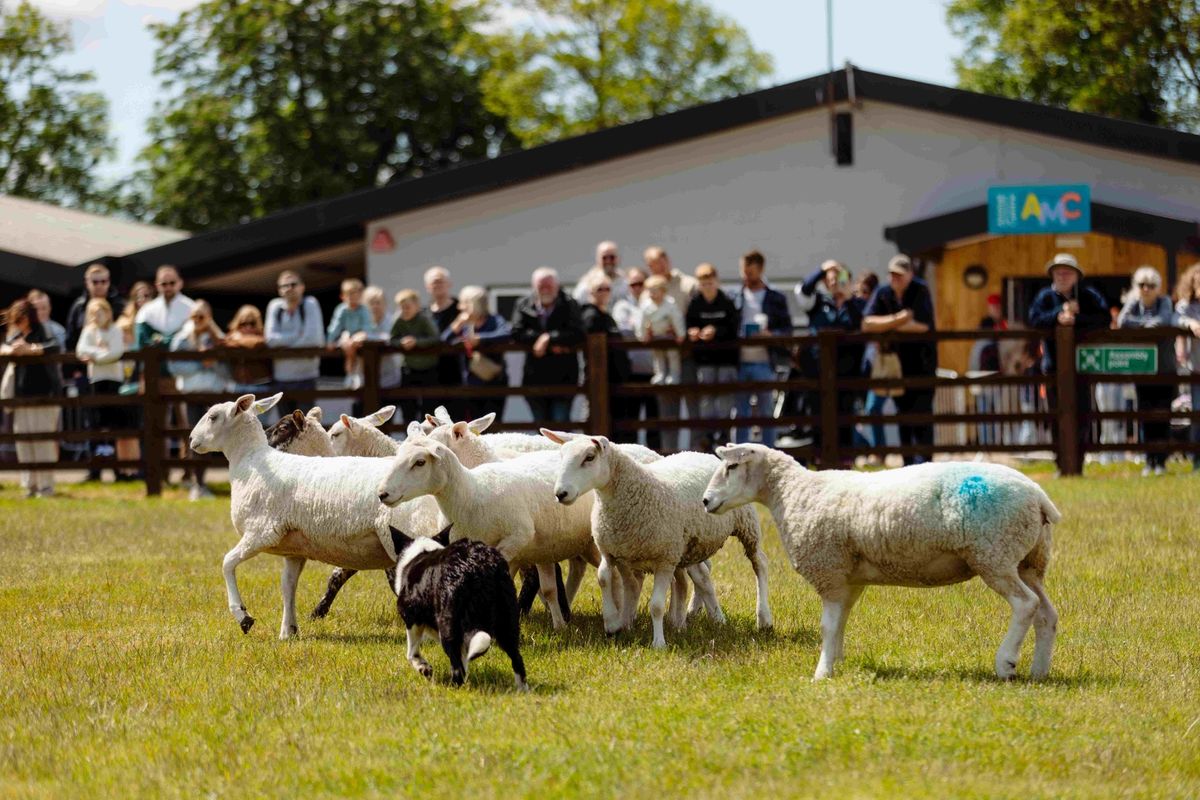 Spring Live is returning to Bishop Burton College