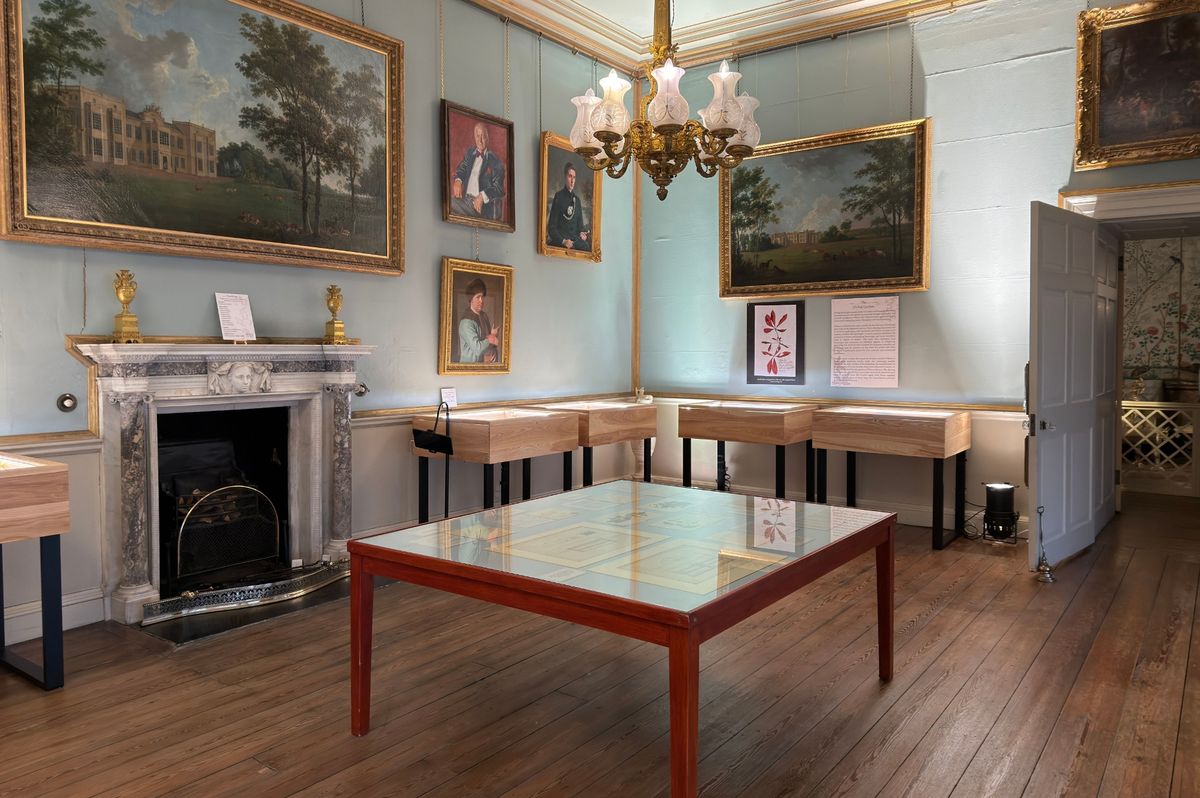 An interior view of the exhibition