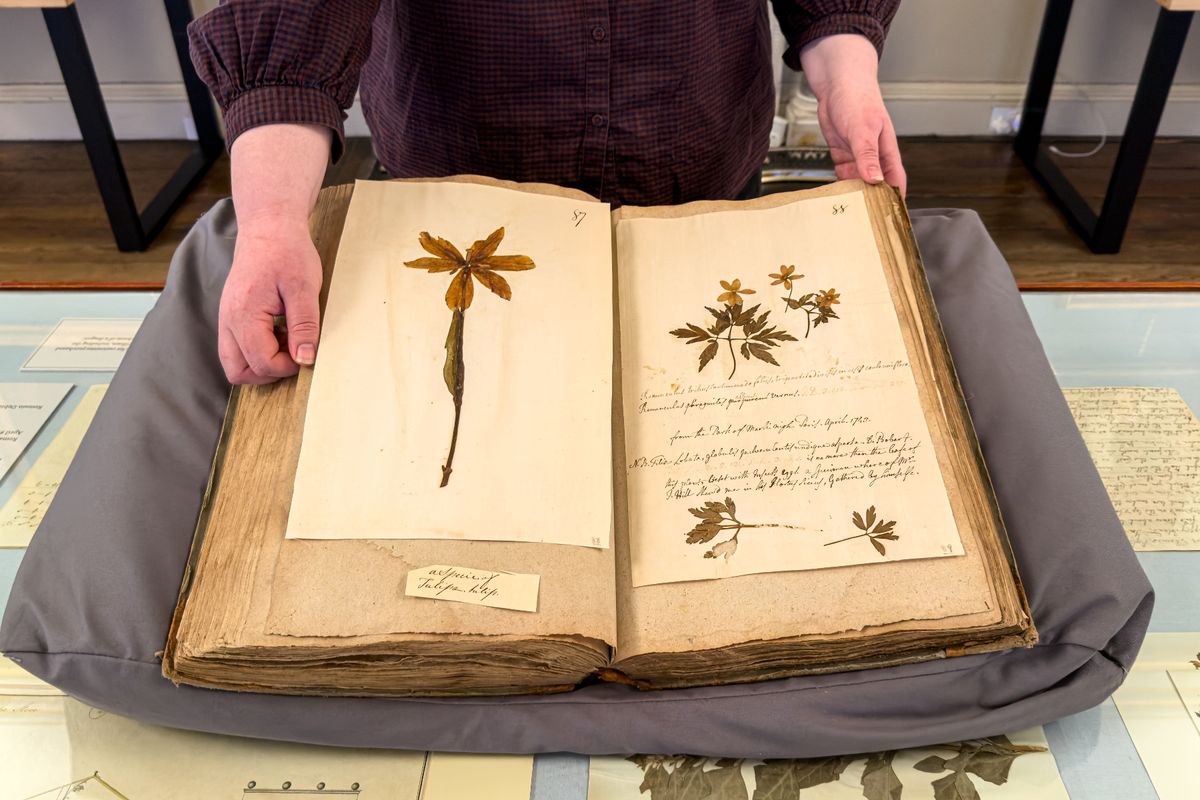 Herbarium volume at Burton Constable Hall