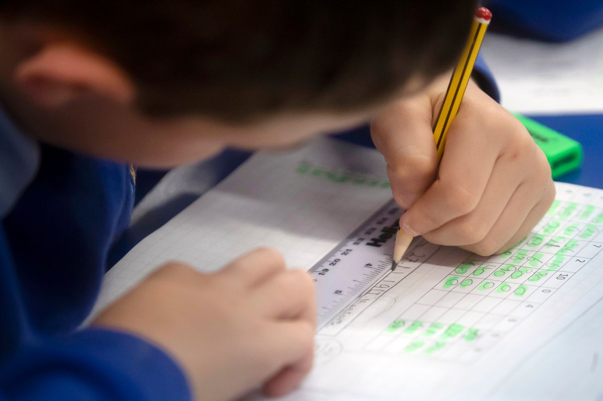 Families in the region have received news about primary school offers