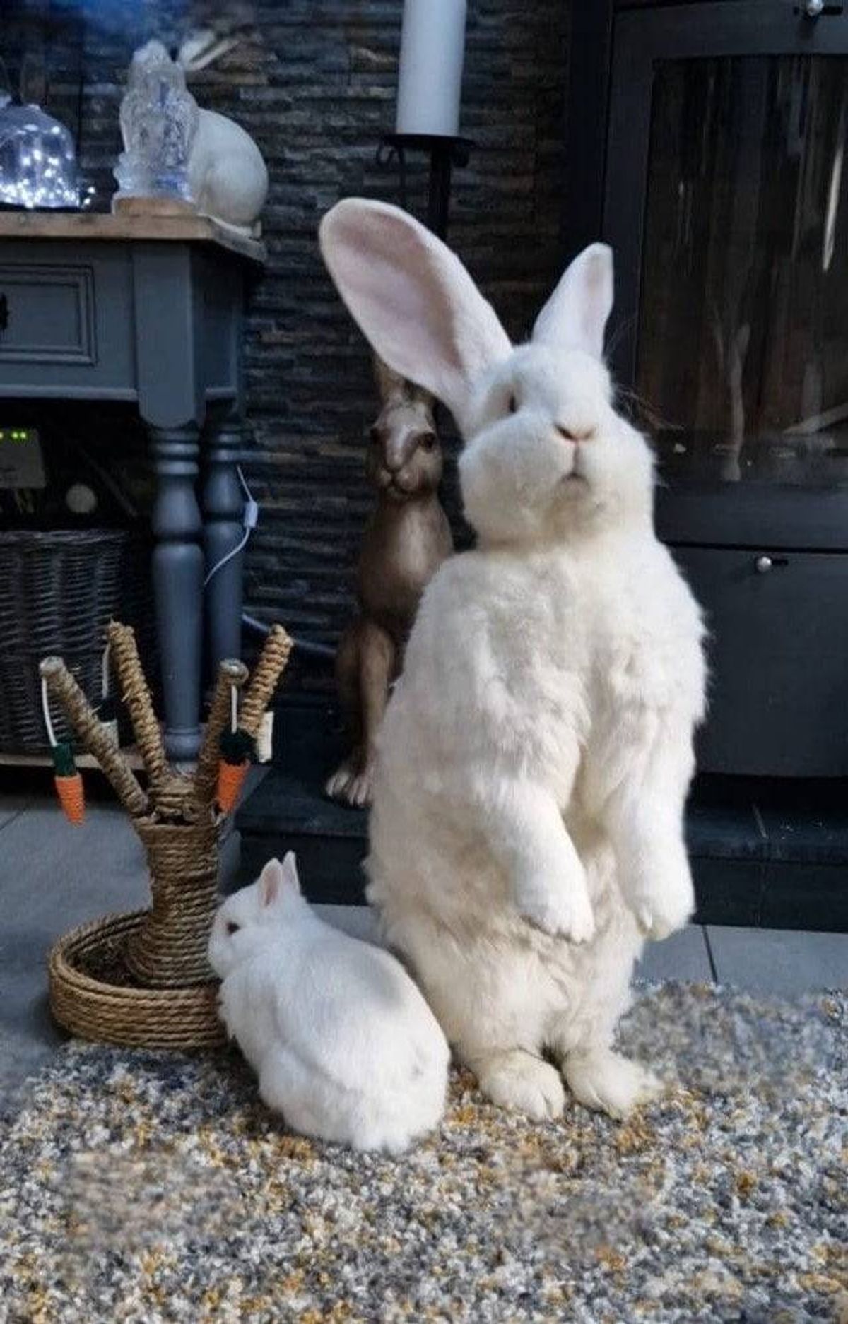 Two white rabbits, one standing upright on its hind legs and the other sitting on the floor, are positioned on a carpet in front of a fireplace, with various objects in the background, including a table, a basket, and additional decorative items.