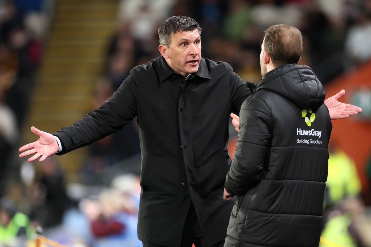 Hull City manager Sergej Jakirovic appeals to an official 