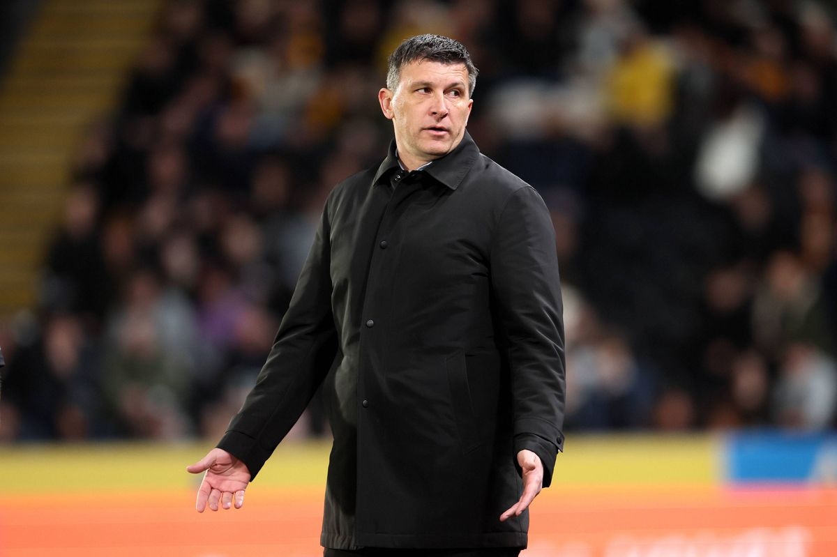 Hull City manager Sergej Jakirovic