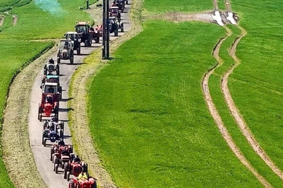 A procession of vintage tractors on a previous fundraising tractor run