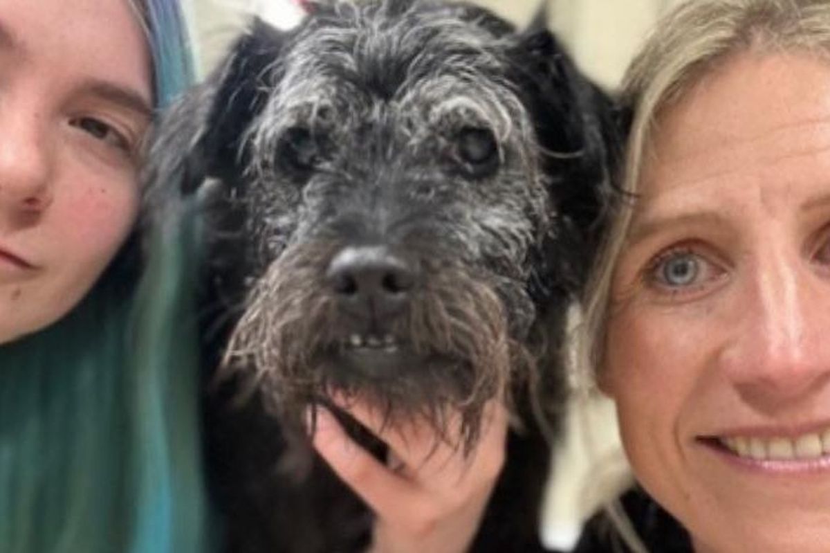 Grooming professionals Louisa Wellington, right, and Hannah Carter, with Ted the dog, at Wagtails of the Wolds