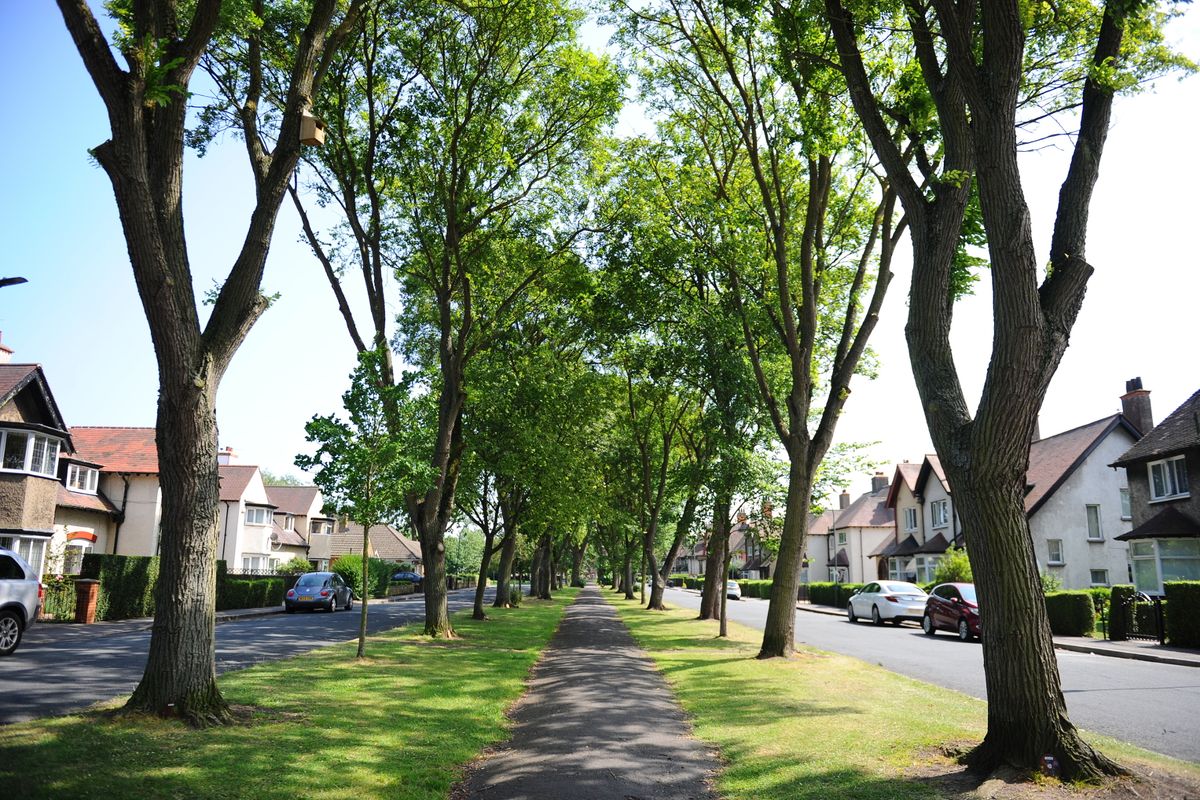 View of Elm Avenue, Garden Village, in east Hull