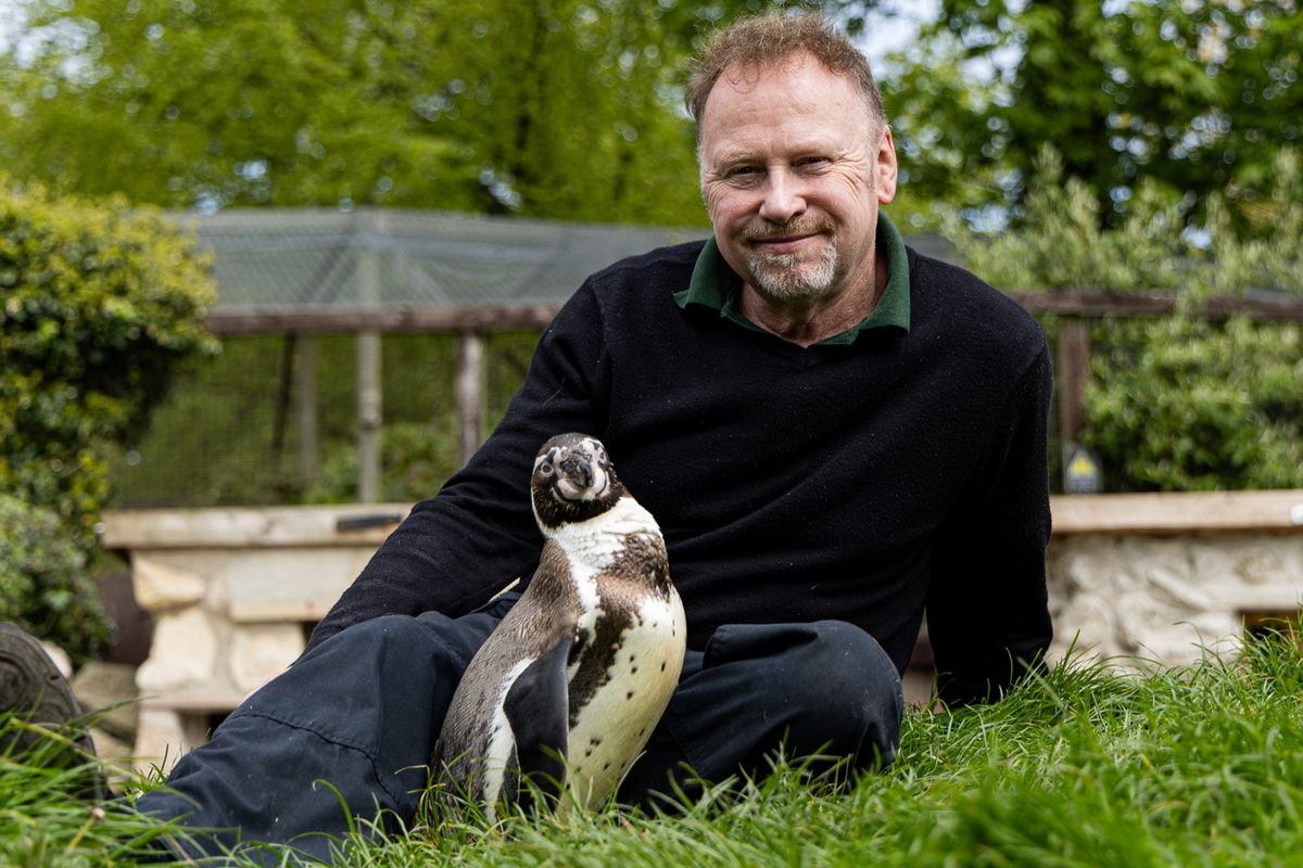 John Pickering on-site at Sewerby Hall, Gardens and Zoo in the penguin enclosure