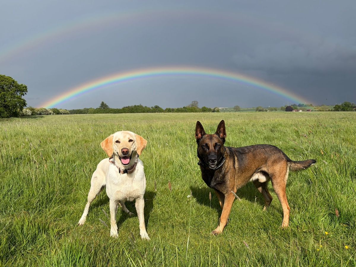 PD Riggs, right, and PD Sunny