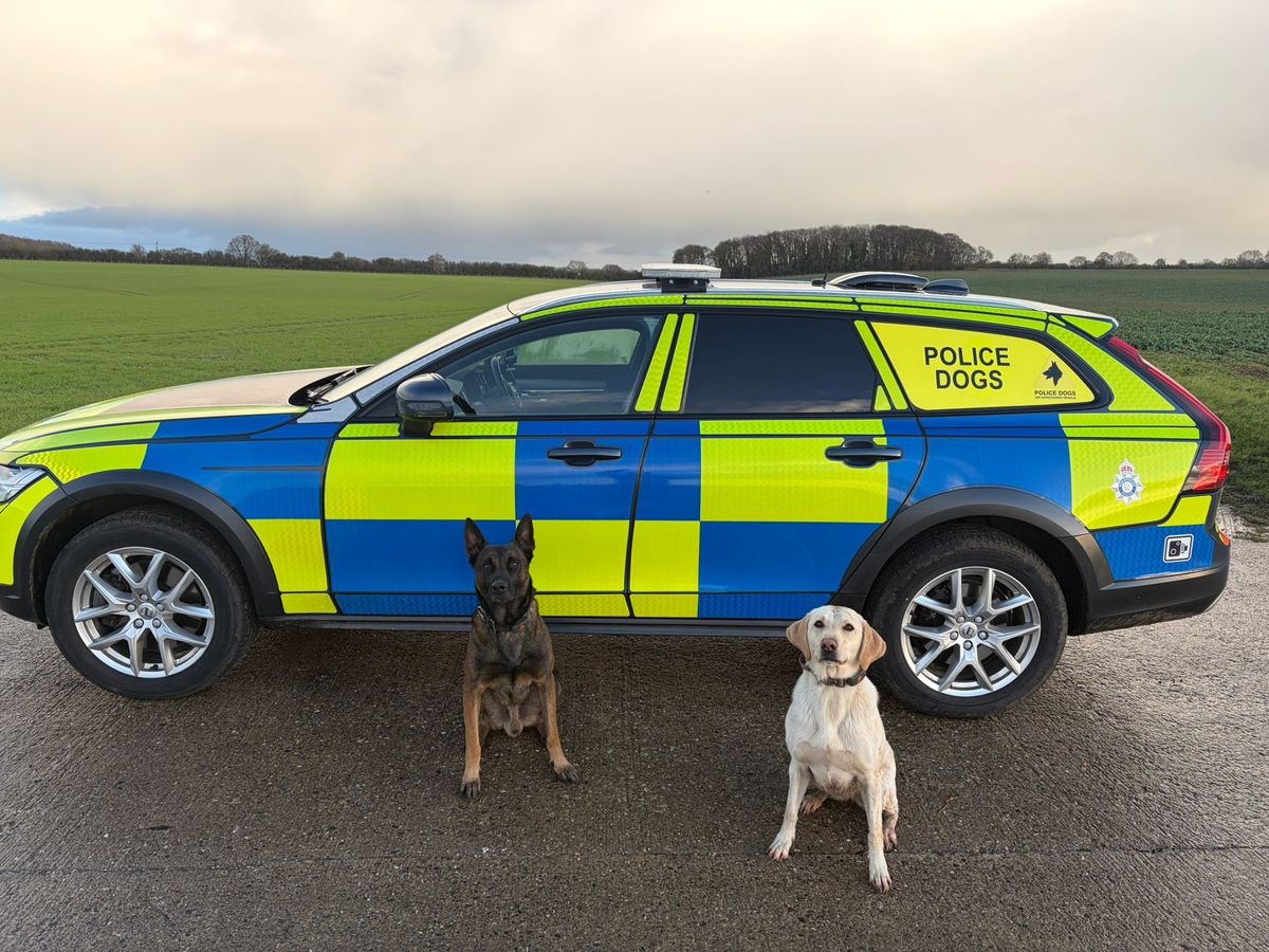 'Invaluable' police dogs Riggs, left, and Sunny