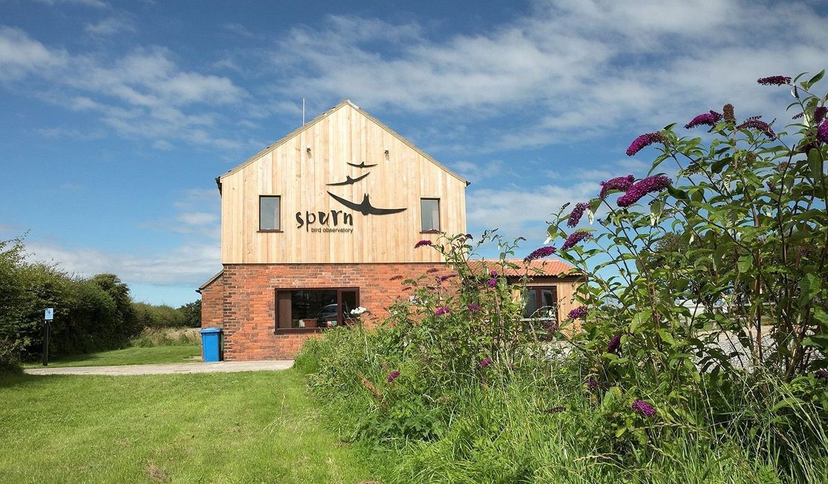 Spurn Bird Observatory 