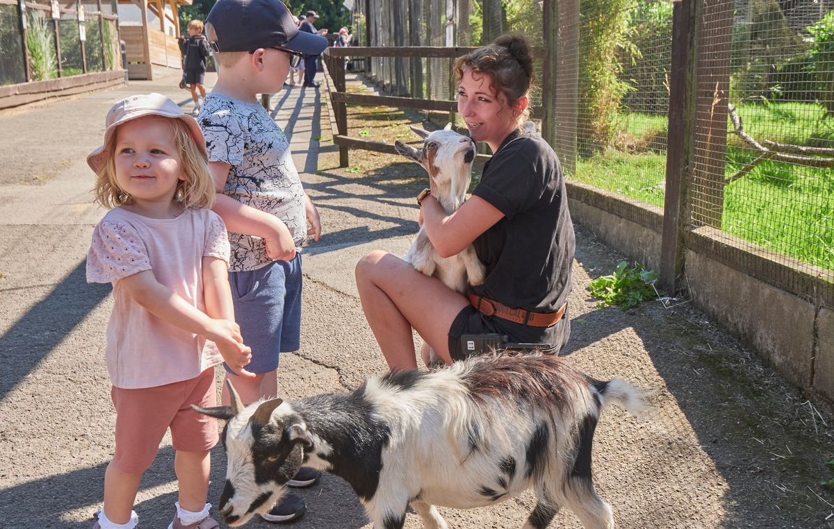 Meeting some of the animals at Sewerby zoo