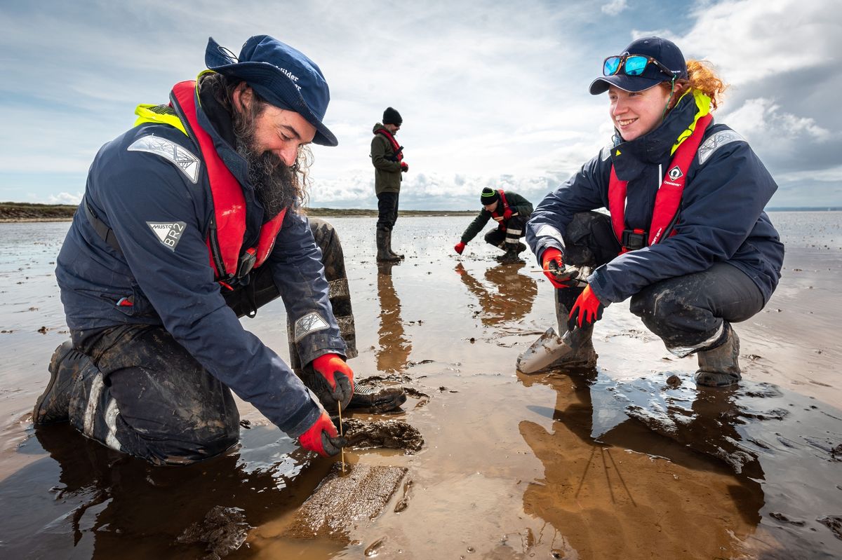 Volunteers Andy Jayes and Beth Thompson involved in seagrass seed pillow planting at Spurn Point