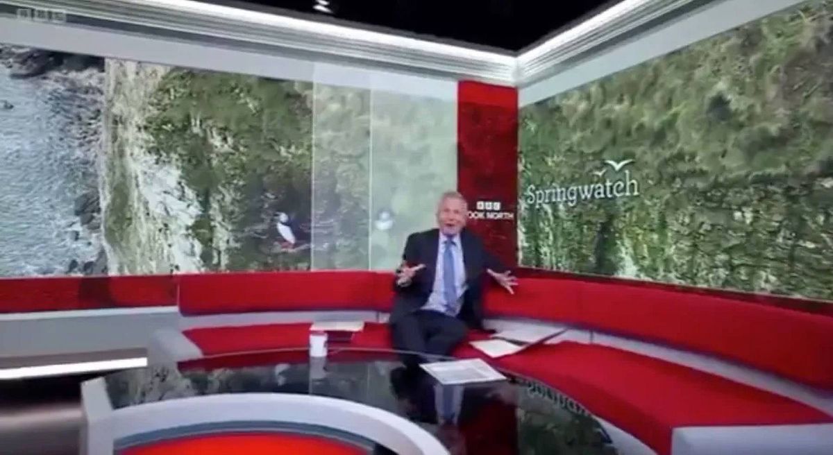 Peter Levy