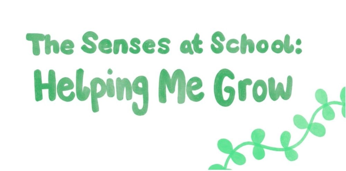 Animation aims to raise awareness of sensory differences for school staff