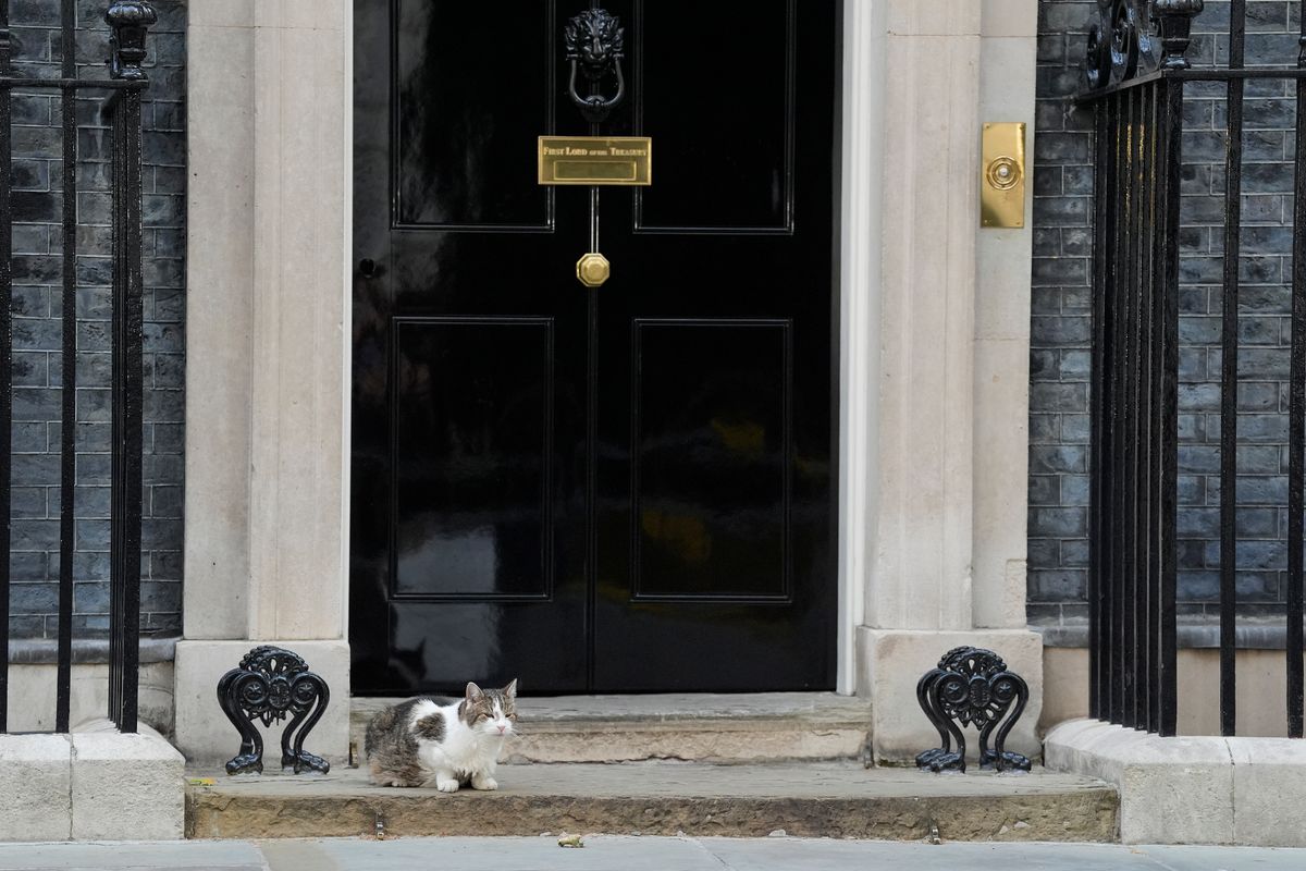 Seeking a new co-lodger, Larry the Cat outside 10 Downing Street on Monday, June 22
