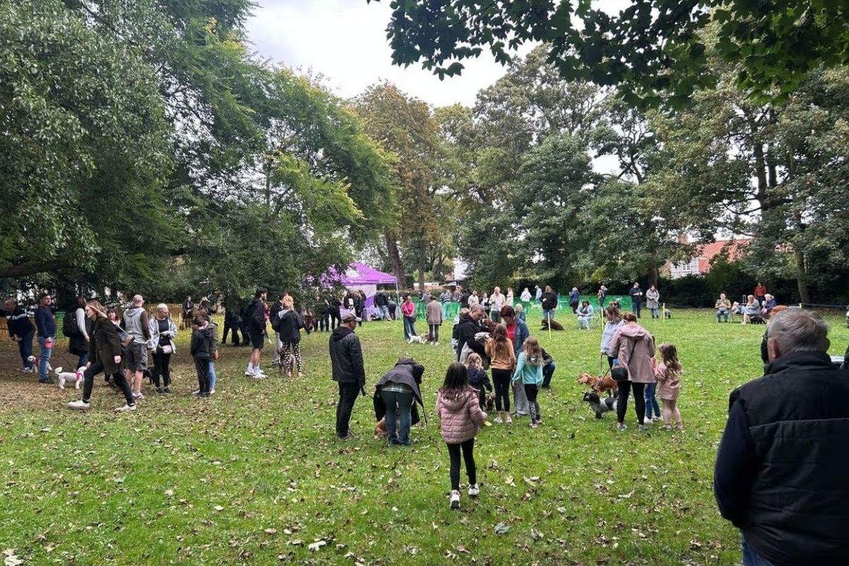 Pups in the Park is being extended to two events in Hull this summer