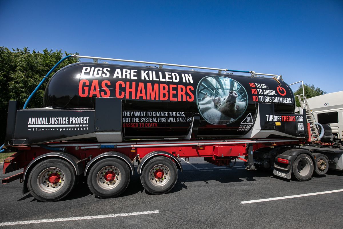 Mobile gas chamber rolling towards Cranswick HQ in Hessle