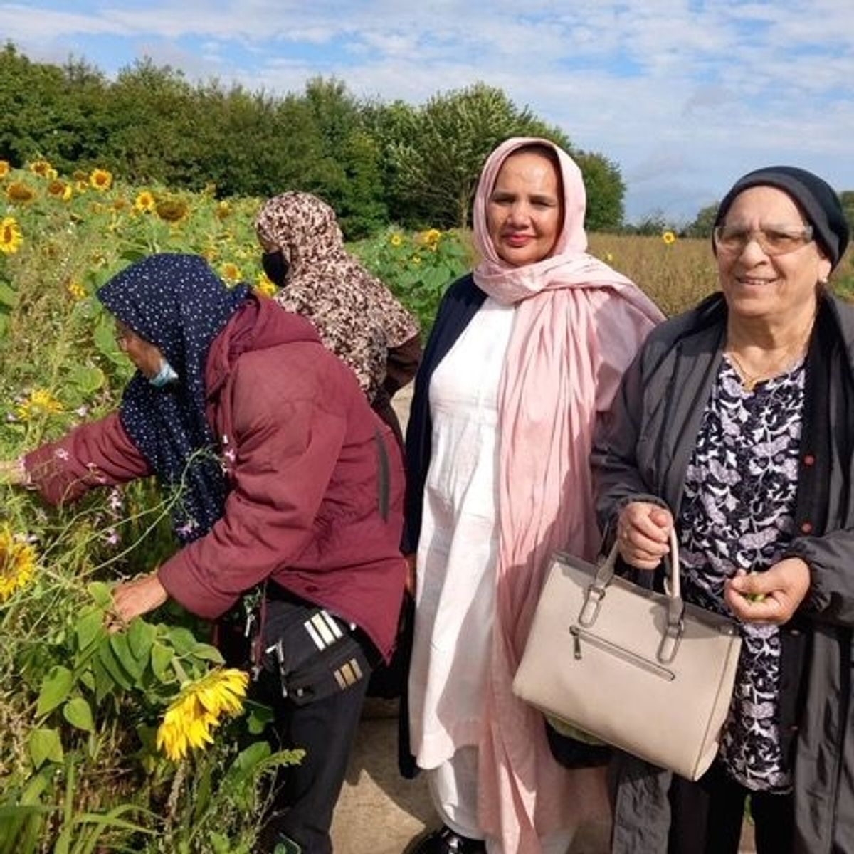 Hull's Peel Project empowers the local Hull community - a visit to Densholme Care Farm