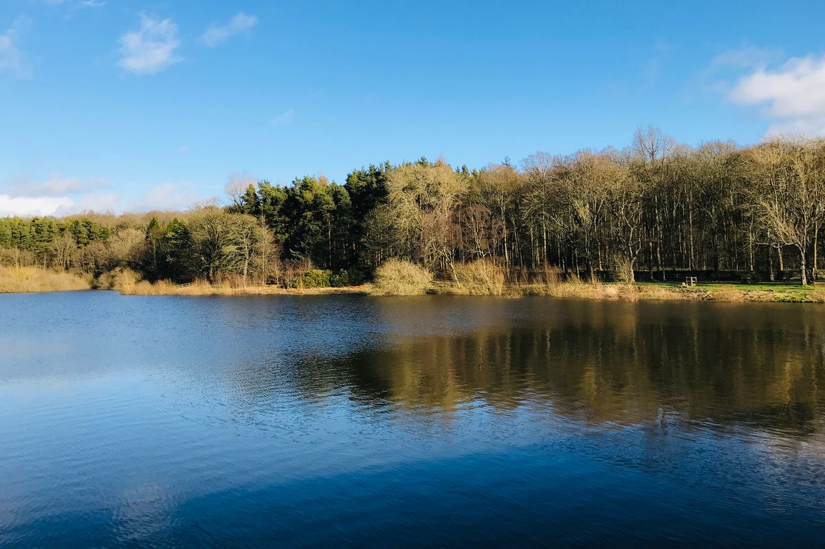 The Swinsty Reservoir