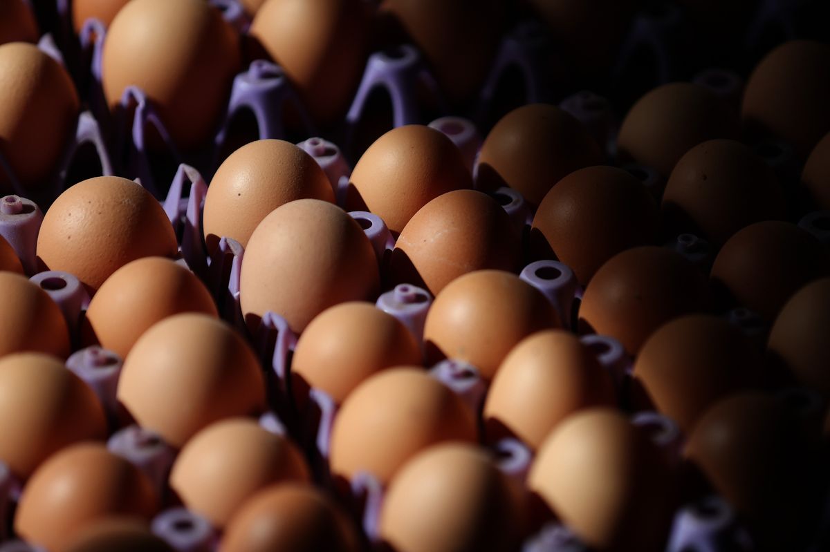 Cartons of eggs - a free range egg unit with capacity for 32,000 hens is to be built on agricultural land near Burton Pidsea, in Holderness