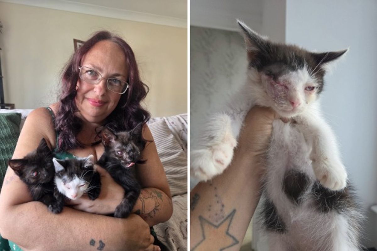 Kellie Colson of 9 Lives Cat Rescue has appealed for donations to help the newest feline charges in her care