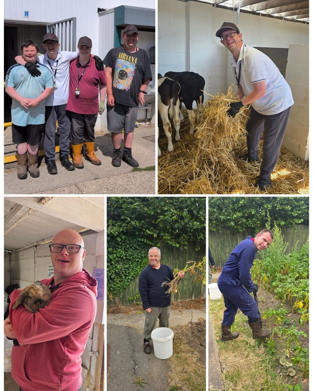 Many hands make light work at East Hull Community Farm