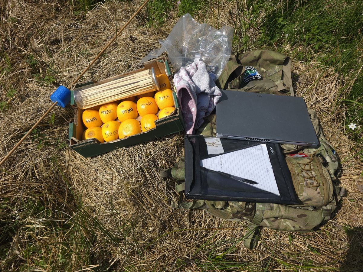 Surveying equipment - including a batch of grapefruits