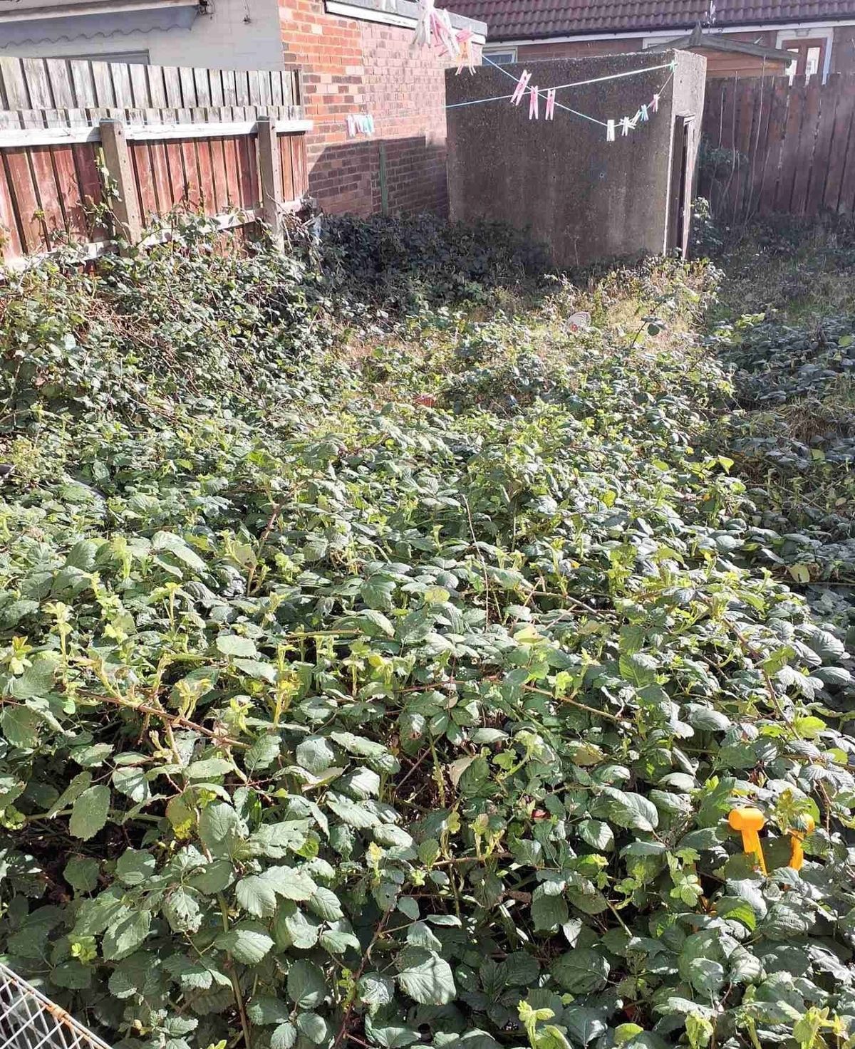 One of the neglected areas of land