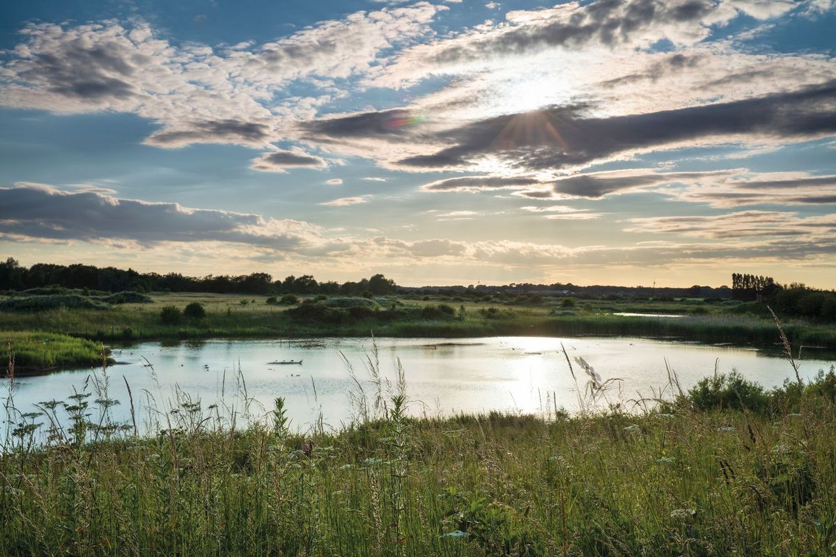 North Cave Wetlands
