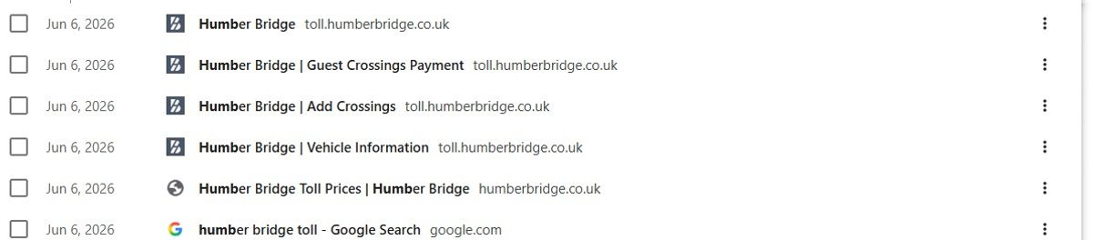 Alex's internet history showing his attempts to visit the payment site on June 6