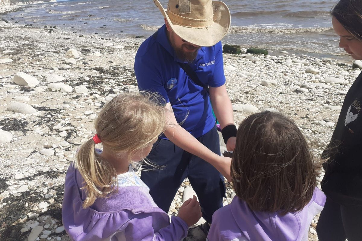 Take part in a Seaside Safari on the East Yorkshire seashore and see what you discover