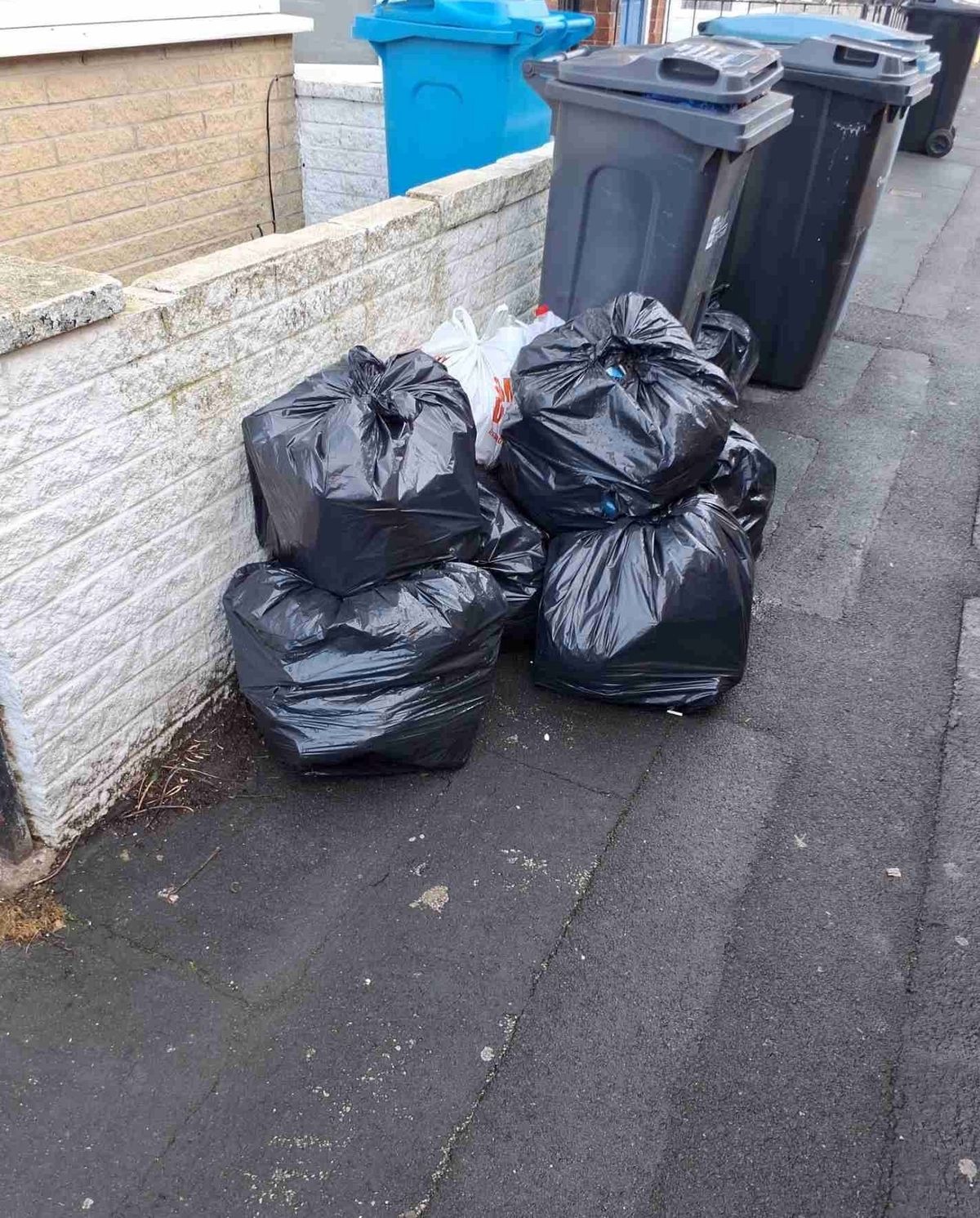 Some of the illegally dumped waste that led to prosecution