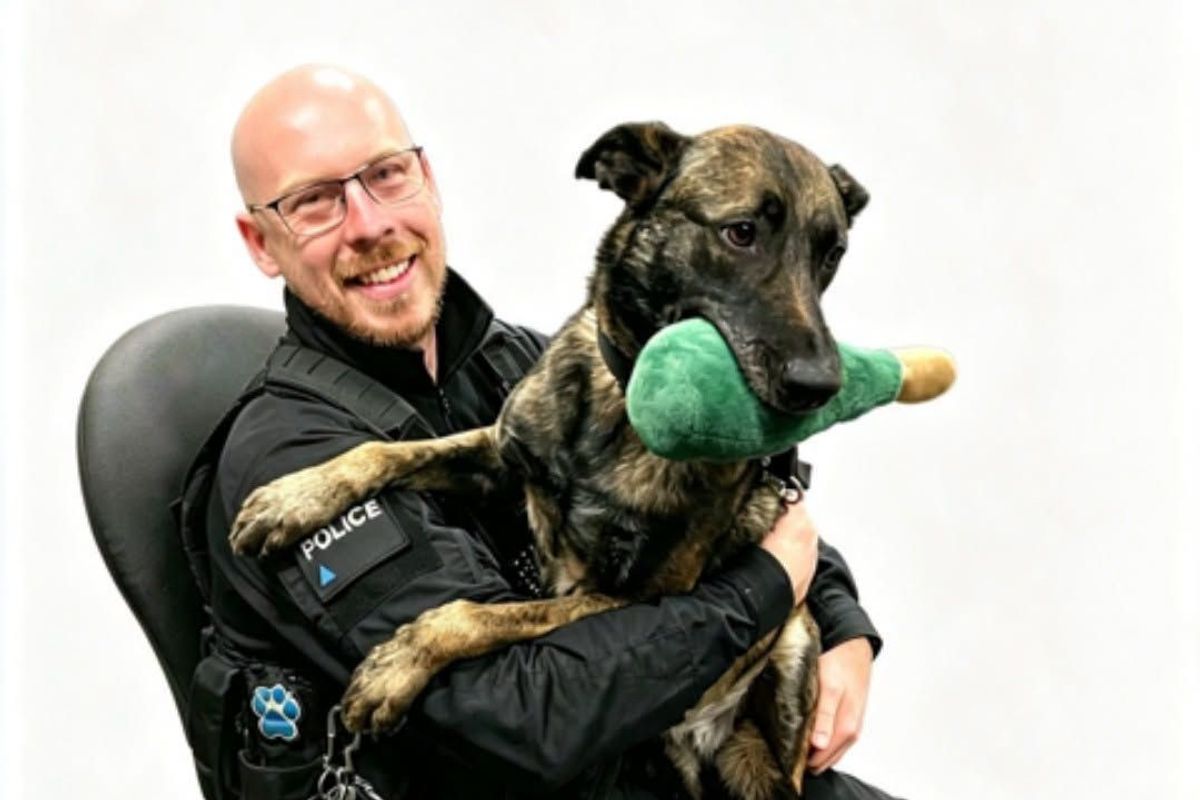Time to stand down for PD Roxy, pictured with her handler of four years PC Young